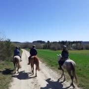dompslauresimon