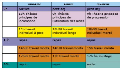 stage 3 jours dressage